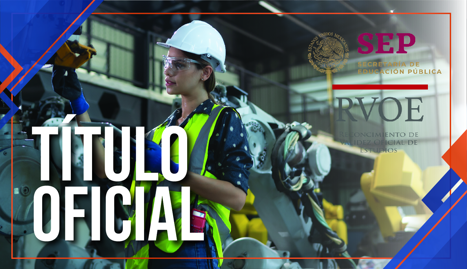 Licenciatura en Ingeniería Industrial